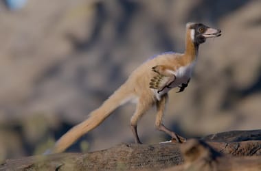 Thumbnail for 6998964