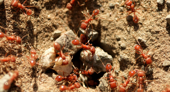 Thumbnail for 6999175