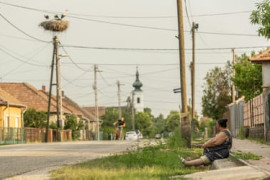 Thumbnail for 6999304