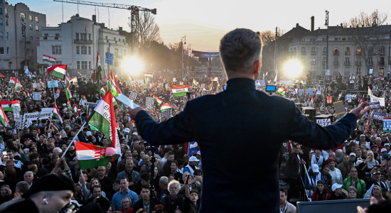 Thumbnail for 6999644