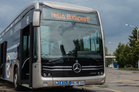 Thumbnail for 6999831