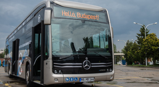 Thumbnail for 6999831