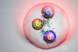 Thumbnail for 6999977