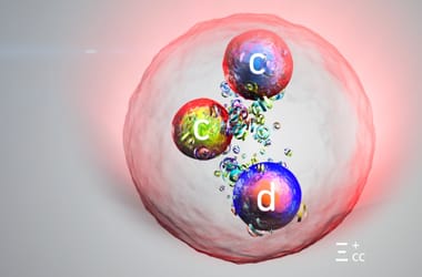 Thumbnail for 6999977