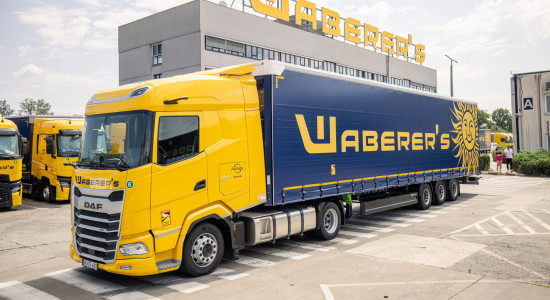 Thumbnail for 7000025