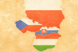 Thumbnail for 7000040