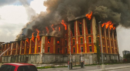 Thumbnail for 7000053