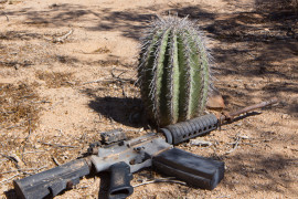 Thumbnail for 7000060