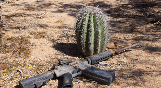 Thumbnail for 7000060