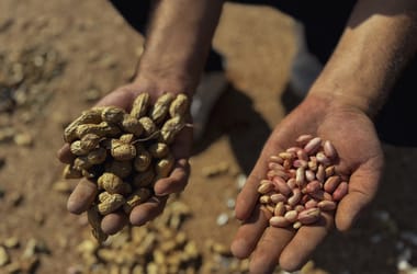 Thumbnail for 7000065