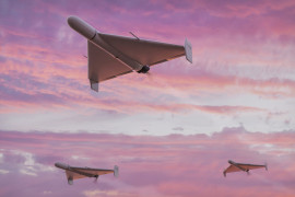 Thumbnail for 7000126