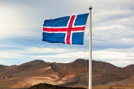 Thumbnail for 7000211