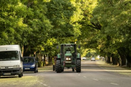 Thumbnail for 7000266