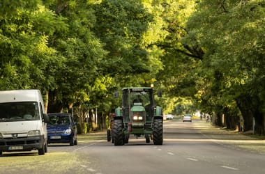 Thumbnail for 7000266