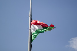 Thumbnail for 7000543