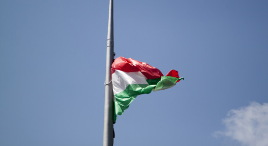 Thumbnail for 7000543