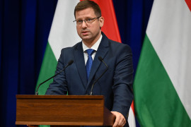 Thumbnail for 7000748