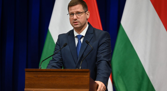 Thumbnail for 7000748