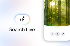 Thumbnail for 7000791