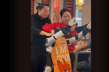 Thumbnail for 7001044