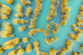 Thumbnail for 7001123