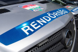 Thumbnail for 7001218