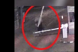 Thumbnail for 7001384