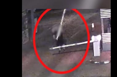 Thumbnail for 7001384