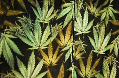 Thumbnail for 7001888