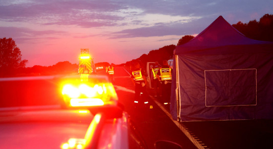 Thumbnail for 7001955