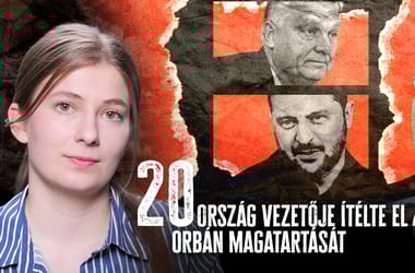 Thumbnail for 7002029