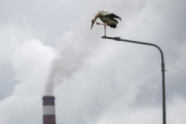 Thumbnail for 7002302