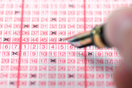 Thumbnail for 7002446