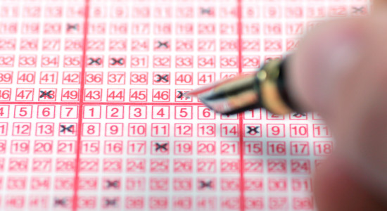 Thumbnail for 7002446