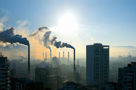 Thumbnail for 7002588