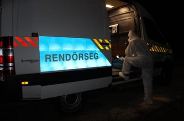 Thumbnail for 7002596