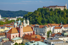 Thumbnail for 7002699