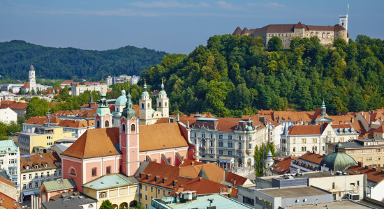 Thumbnail for 7002699