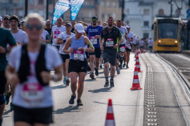 Thumbnail for 7002714