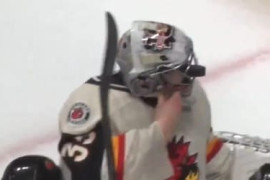 Thumbnail for 7003019