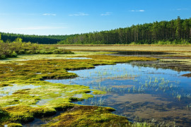 Thumbnail for 7003031