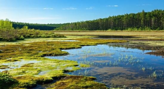 Thumbnail for 7003031