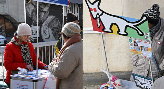 Thumbnail for 7003042