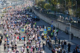 Thumbnail for 7003046