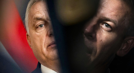 Thumbnail for 7003056