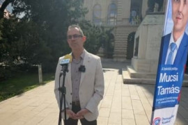 Thumbnail for 7003174