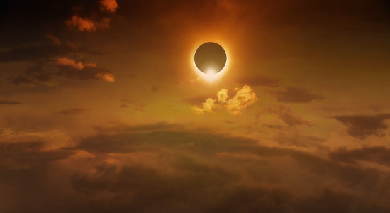 Thumbnail for 7003235