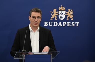 Thumbnail for 7003343