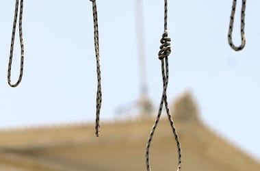 Thumbnail for 7003437