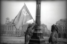 Thumbnail for 7003465